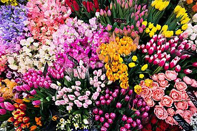 《谁闭了马克斯叔叔的麦》Steam获特别好评