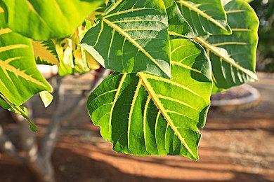 NEXON经典FPS《突击风暴：零点》 全面升级版本即将上线！