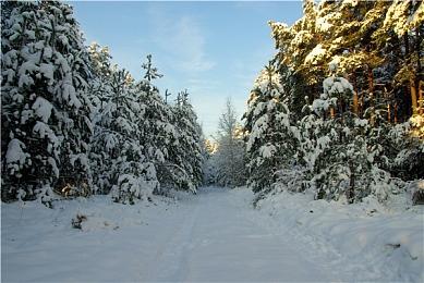 《名侦探皮卡丘：闪电回归》IGN 6分 游戏性一般